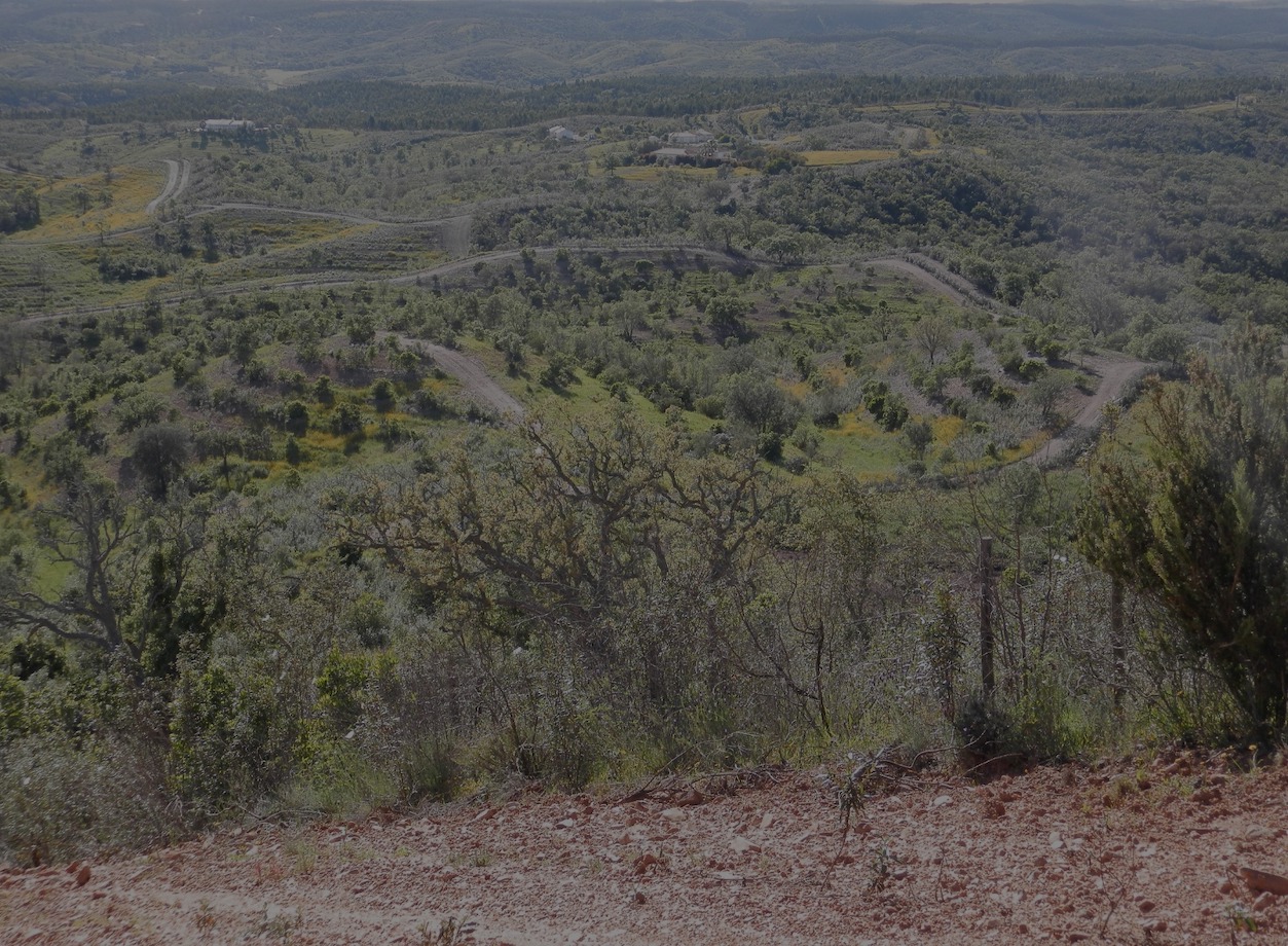 WhatsApp Image 2025-03-21 at 11.15.38