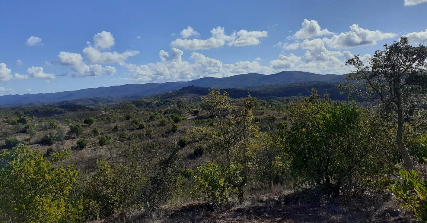 WhatsApp Image 2025-03-21 at 11.15.39 (2)