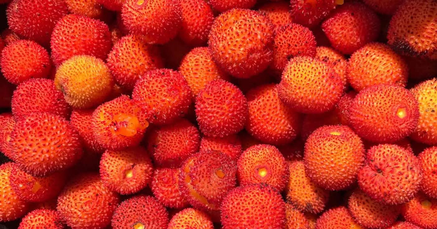 WhatsApp Image 2025-04-01 at 09.57.16 (1)