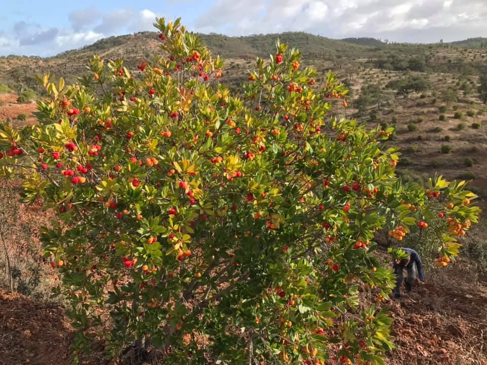 WhatsApp Image 2025-04-01 at 09.57.16